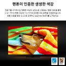 염창삼성하나로(아) | 삼성 98인치 QLED TV KQ98QC88AFXKR 스펙 장점 후기 60% 할인 구입 방법