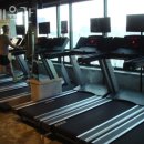 곰 체육관 이미지