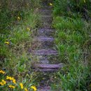 삼보자동차정비 이미지