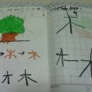 수풀삼 이미지