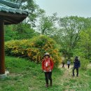 세동천 이미지