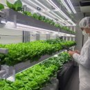 기술농장 이미지