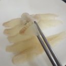 팔딱팔딱횟집 이미지