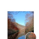 속도전 특수부대팀과 유유자적 계곡유랑팀의 강천산행기(38회차, 2025.11.22) 이미지