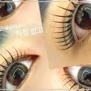 다인뷰티 이미지