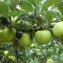 전일농장 이미지