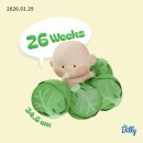 중부대로22 | [육아용품] 리안 솔로 토프 색상 내돈내산 구입기, 베이비하우스 영통점 방문 후기