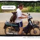 청하부분정비 이미지