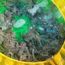 무안상회 이미지