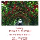 인하농장 이미지