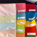 신원 건강랜드 | 전주 신시가지 퍼스널 컬러 진단 '컬러 멜로우‘, 봄 라이트 확신의 웜톤 판정 후기!