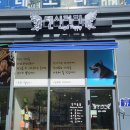 텐시퍼피 네이버블로그