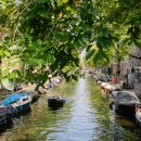 KD CAR SHOP 이미지