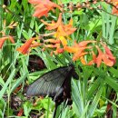 네이버 블로그의 희진님 노래 &#39;아름다운것들&#39; 이야기 이미지