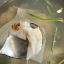 신나는대구탕 이미지