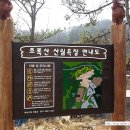 초록산산림욕장 이미지