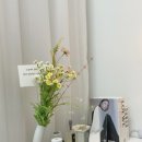 수원-1108 이미지