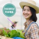 금암농장2 이미지