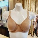 비너스와코루 이미지