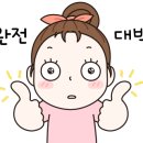 춘천시청 어린이집 이미지