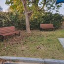 광천초병설유치원 이미지