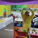 토마스농장 이미지