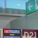 두바이 부르즈할리파 분수쇼 공항 무료유심 두바이몰 바틸 대추야자