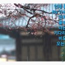 올래~you 이미지