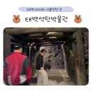태백한우촌 | 태백 아이와 가볼만한곳 태백석탄박물관, 탄광 체험까지 특별했던 가족 나들이