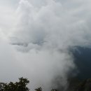 참나무향한의원 이미지