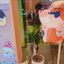 배스킨라빈스전주 - 전주시 완산구 거마남로 1 | 배스킨라빈스전주