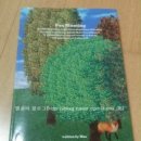 여우사냥