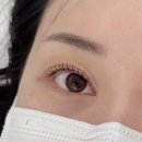 부평 갈산동 속눈썹 <레든브로우> | 속눈썹펌 꼼꼼하게 영양가득 받은 후기