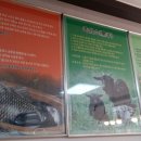 보령건강원 이미지