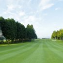 노송골프 이미지