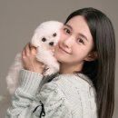 서울동물 이미지