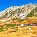 웰빙나라(과일이랑야채랑) 일본정부관광국