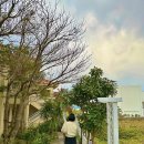 오션힐펜션B동 이미지