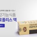 가보식품