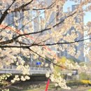 광교카페거리 이미지