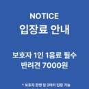 블루멍