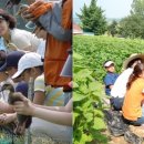 영전황토마을 이미지