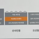 영케쥬얼