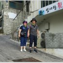 토박이젖갈 이미지