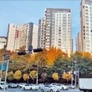 달루체 이미지
