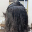 여니크 이미지