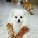 뚜리까까 이미지