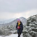 3호선독립문역(01)