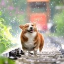 양광한의원 | 은평구 홍어 불광역 홍어마을에서 홍어찜