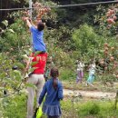 잭과 사과나무 이미지